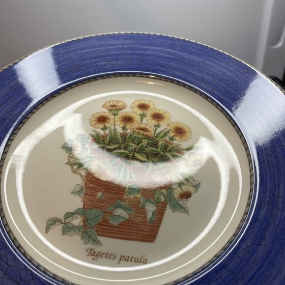 Set of 4 Wedgwood Sarah's Garden Salad Plates - One of Each Color 8 1/4” - Picture 6 of 14